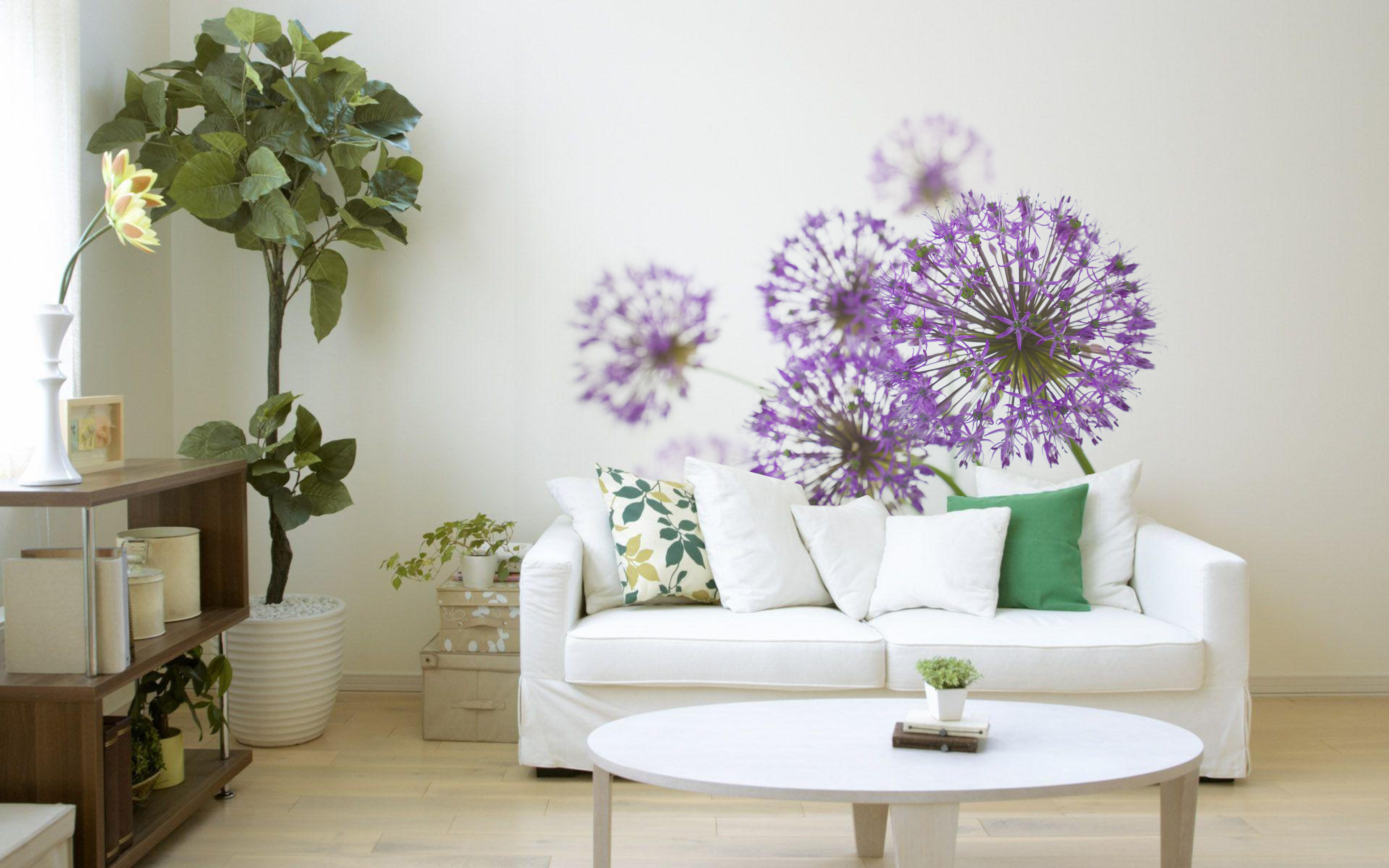 salon_wiz Naklejki ścienne